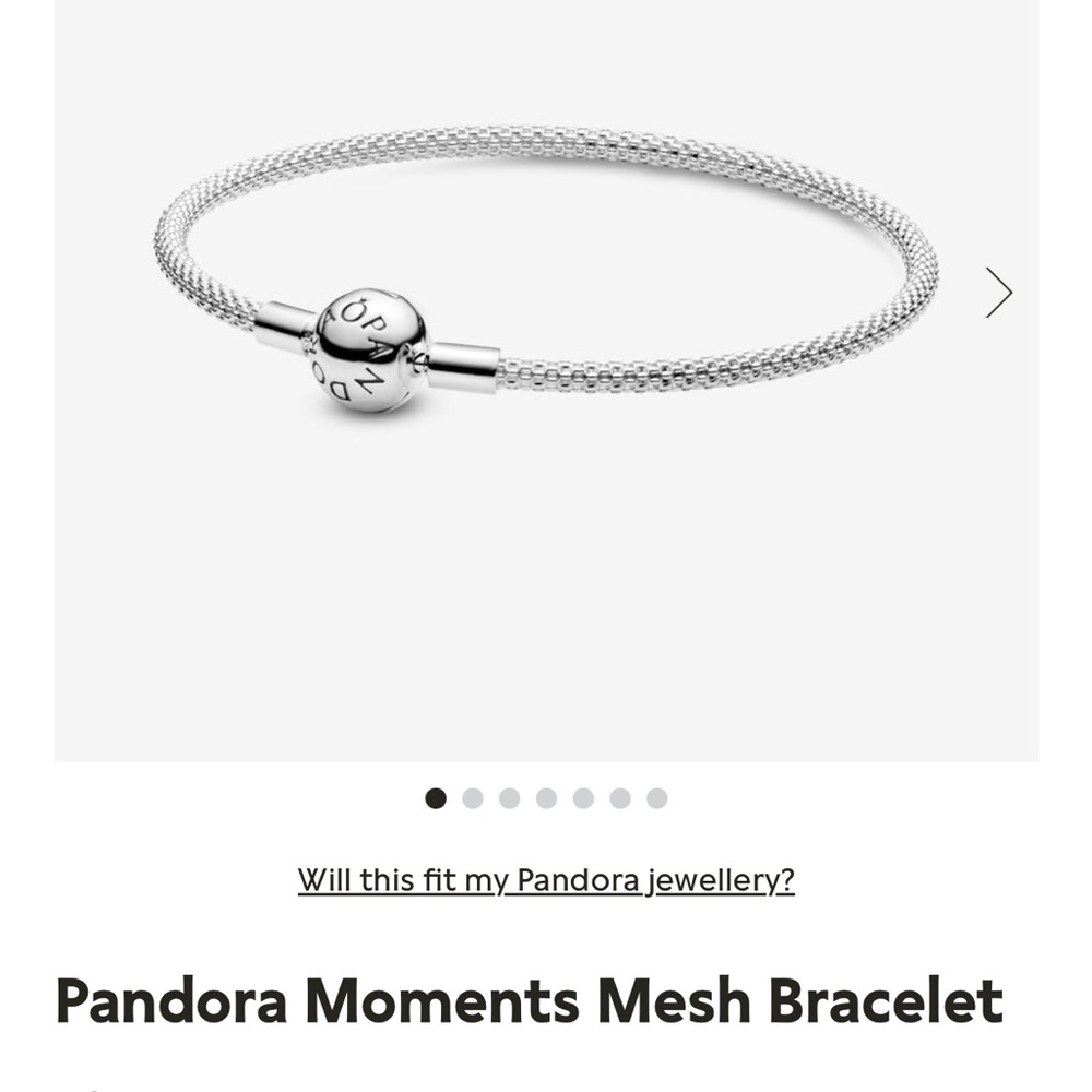 Pandora moments mesh bracelet